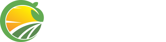Ganoterapia